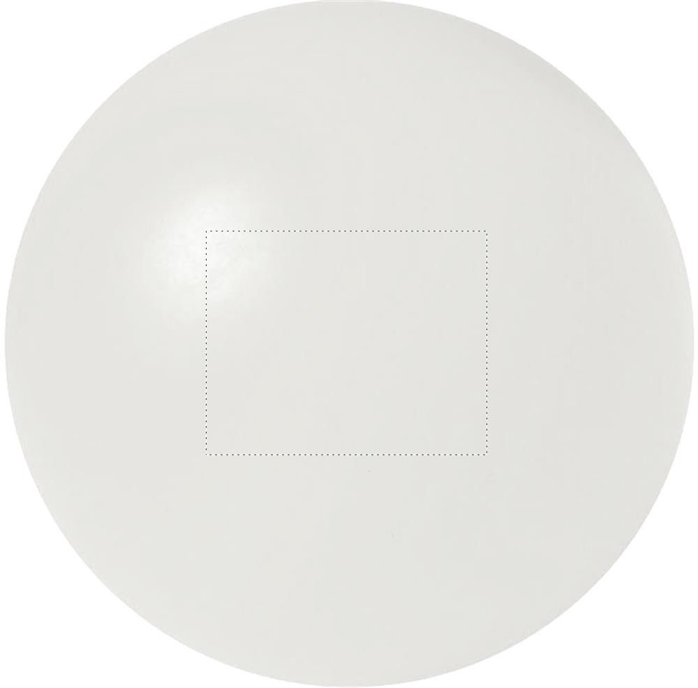 Vorderseite (2 x 2,5 cm)