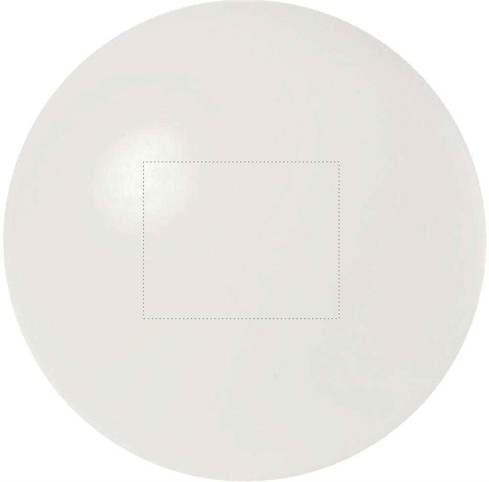 Rückseite (2 x 2,5 cm)