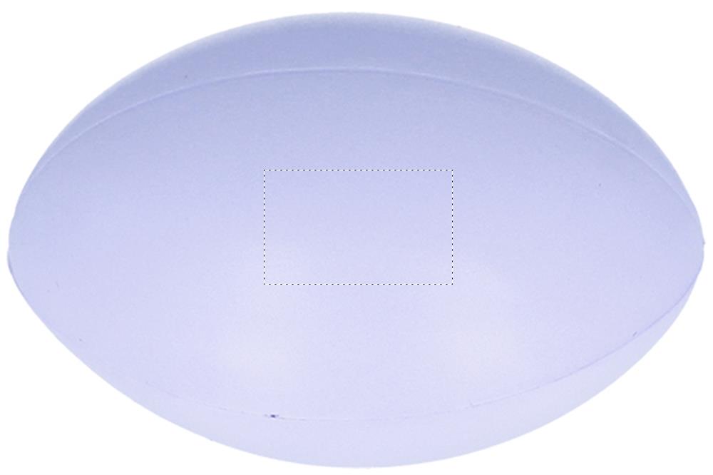 Segment 1 (1,5 x 2,5 cm)