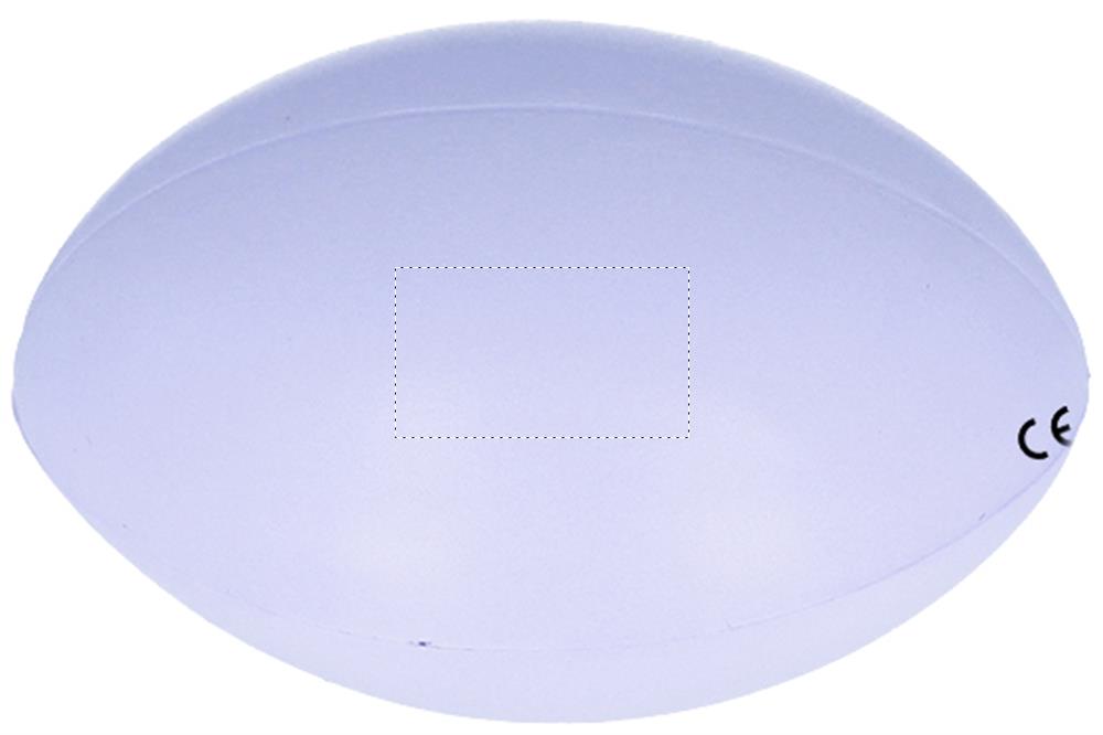 Segment 4 (1,5 x 2,5 cm)