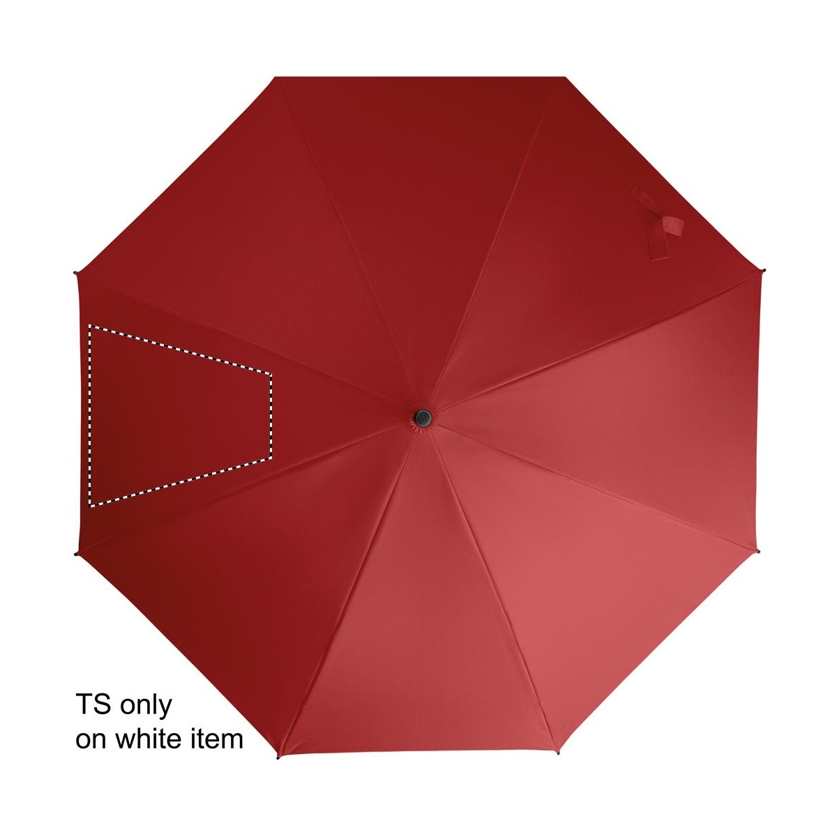 Segment 2 (260 x 260 mm)