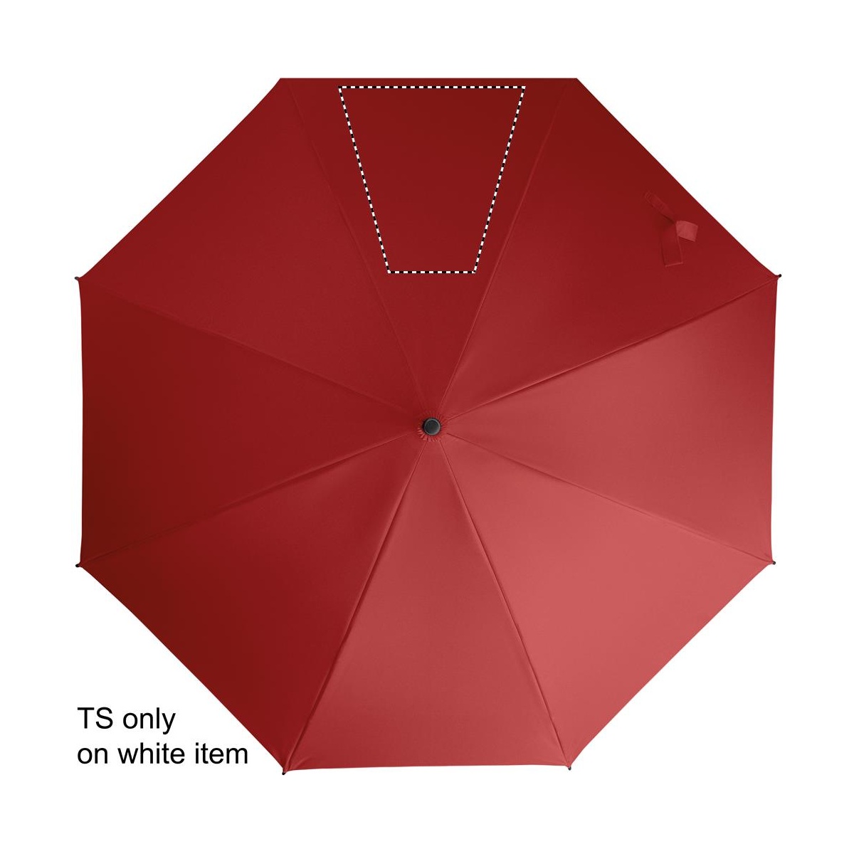 Segment 3 (260 x 260 mm)