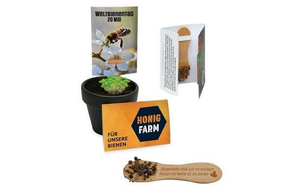 Bienenhelfer-Stick mit Samen, Lasergravur