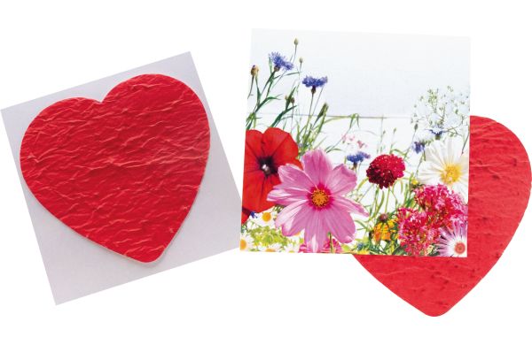 Herzliche Blumengüße, bunte Blumenmischung