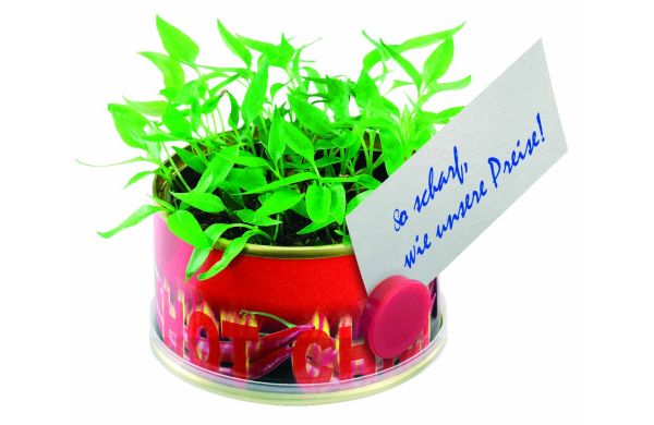 Minigarten Hot mit Magnet, Durchmesser  73 x 38 mm, Chili