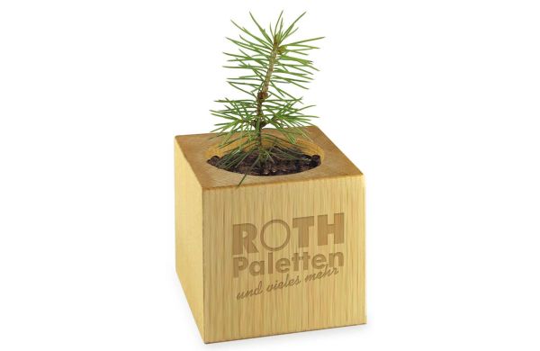 Pflanz-Holz - Standardmotiv - Frohe Weihnachten, 2 Seiten gelasert