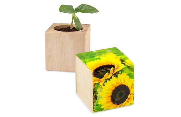 Pflanz-Holz - Standardmotiv - Sonnenblume, 2 Seiten gelasert