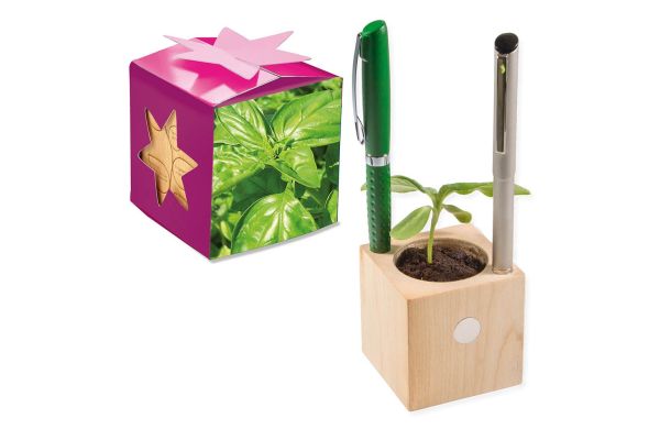 Pflanz-Holz Büro Star-Box mit Samen, 2 Seiten gelasert