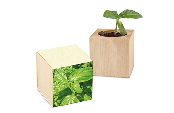 Pflanz-Holz mit Samen (Graspapier-Banderole)