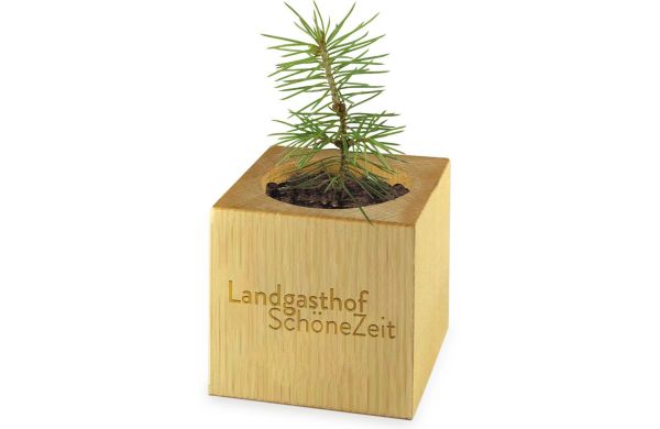 Pflanz-Holz Maxi Xmas mit Fichtensamen, 2 Seiten gelasert