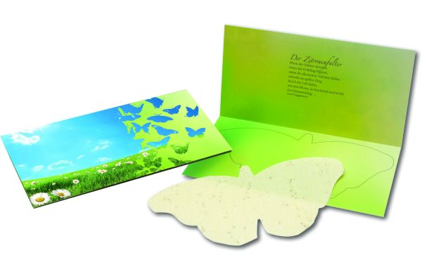 Schmetterlings-Karte, bunte Blumenmischung