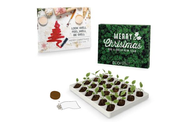 Wachsender Adventskalender