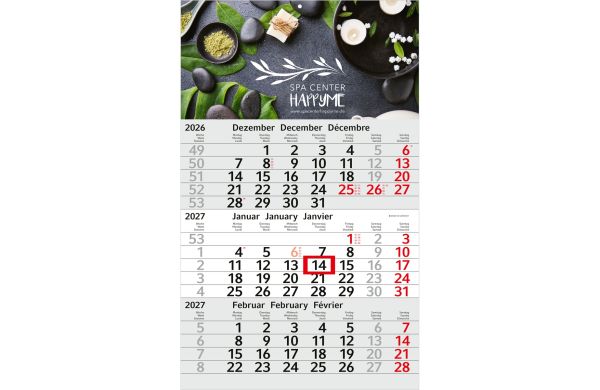 3-Monatskalender Budget 3 EXPRESS Schrift leicht