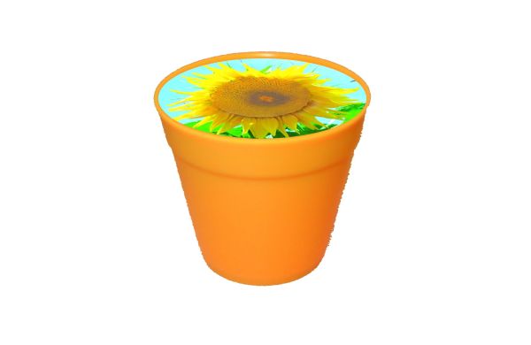 Business-Töpfchen Sonne, Zwergsonnenblume