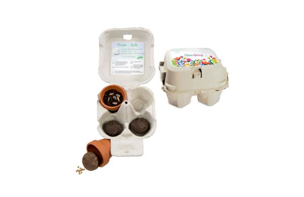 Das Grüne vom Ei - Green-Mix Box, Eierbaum