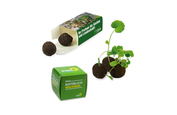 Flower-Balls 1er Box mit Samen
