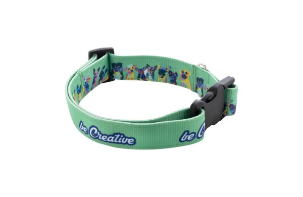 Individuelles Hundehalsband Ziggy, weiß