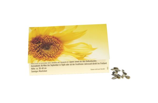 Klappkärtchen Sonne, 90 x 60 mm, Zwergsonnenblume