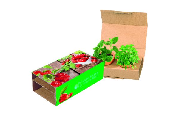 Naschgemüse Duo, Cocktail Tomate und Paprika