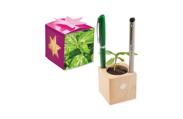 Pflanz-Holz Büro Star-Box mit Samen, 1 Seite gelasert