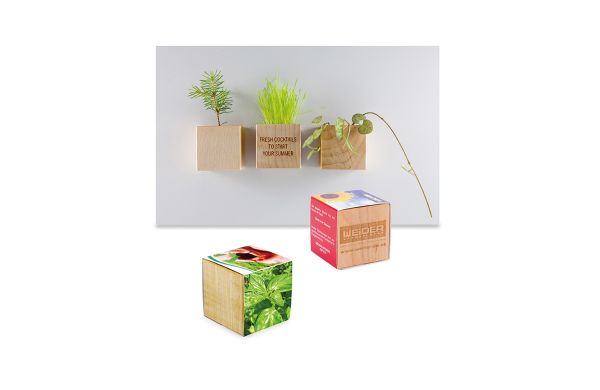 Pflanz-Holz Magnet mit Samen