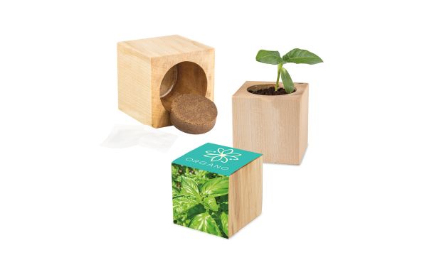 Pflanz-Holz Maxi mit Samen, 2 Seiten gelasert