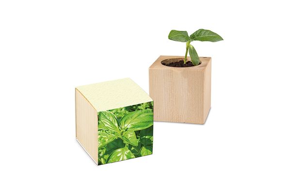 Pflanz-Holz mit Samen, 1 Seite gelasert (Graspapier-Banderole)
