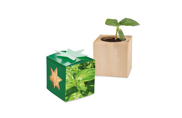 Pflanz-Holz Star-Box mit Samen, 2 Seiten gelasert
