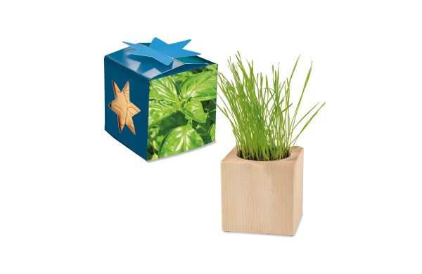 Pflanz-Holz Maxi Star-Box mit Samen