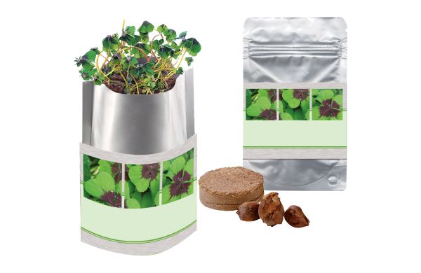 Plant-Bag Viel Glück, Glückskleezwiebelchen 