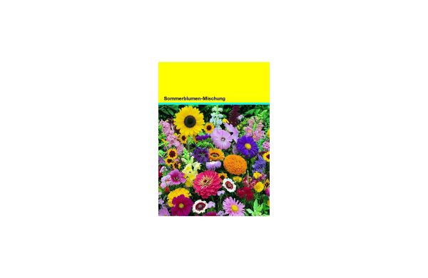 Samentütchen 82x114 mm, bunte Blumenmischung