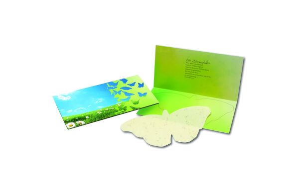 Schmetterlings-Karte, bunte Blumenmischung