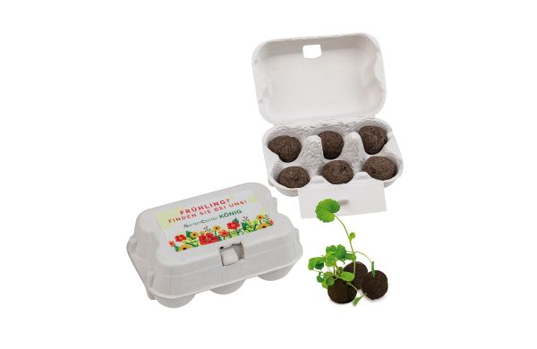 Sixpack - Flower-Ball Midi mit Samen