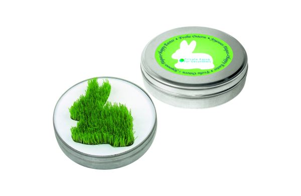 Wachsender Hase aus der Dose, Zimmerrasen