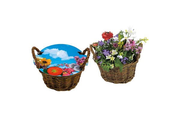 Weiden Körbchen blühendes Wachstum, bunte Blumenmischung