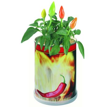 Blumendose Hot