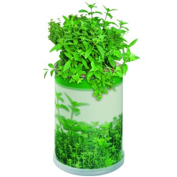 Blumendose Power 