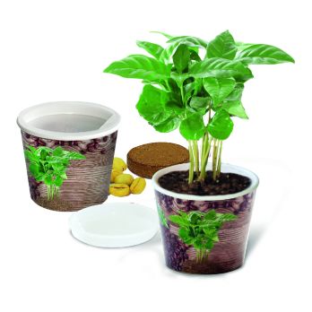 Coffee 2Grow