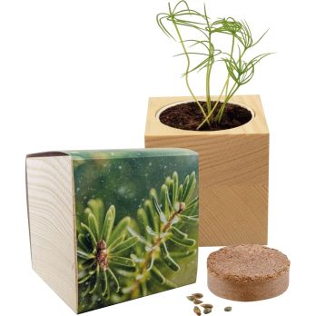Großer Natur-Würfel Fichte