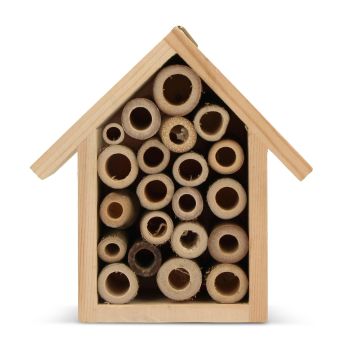 Mini-Bienenhaus FSC