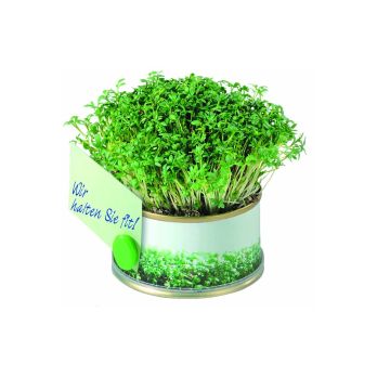 Minigarten Kräuter mit Magnet