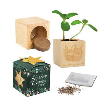 Pflanz-Holz Maxi Star-Box mit Samen, 1 Seite gelasert
