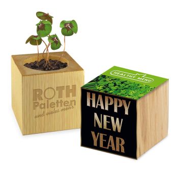 Pflanz-Holz Glücksklee, 1 Seite gelasert