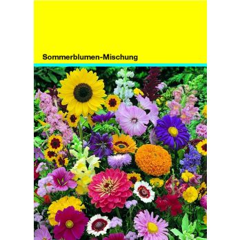 Samentütchen bunte Blumenmischung 82 x 114 mm