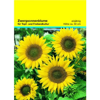 Samentütchen Zwergsonnenblume 82 x 114 mm