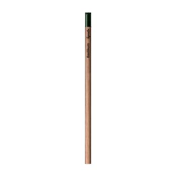 Sprout™ - Bleistift