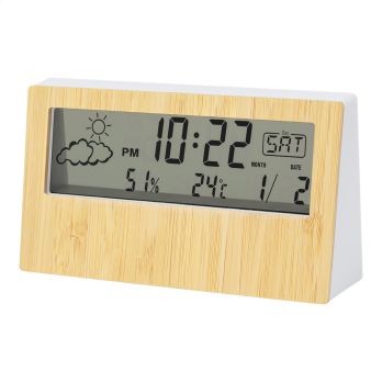 Zepra Wetterstation