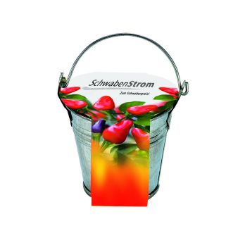 Zinkeimerchen Chili