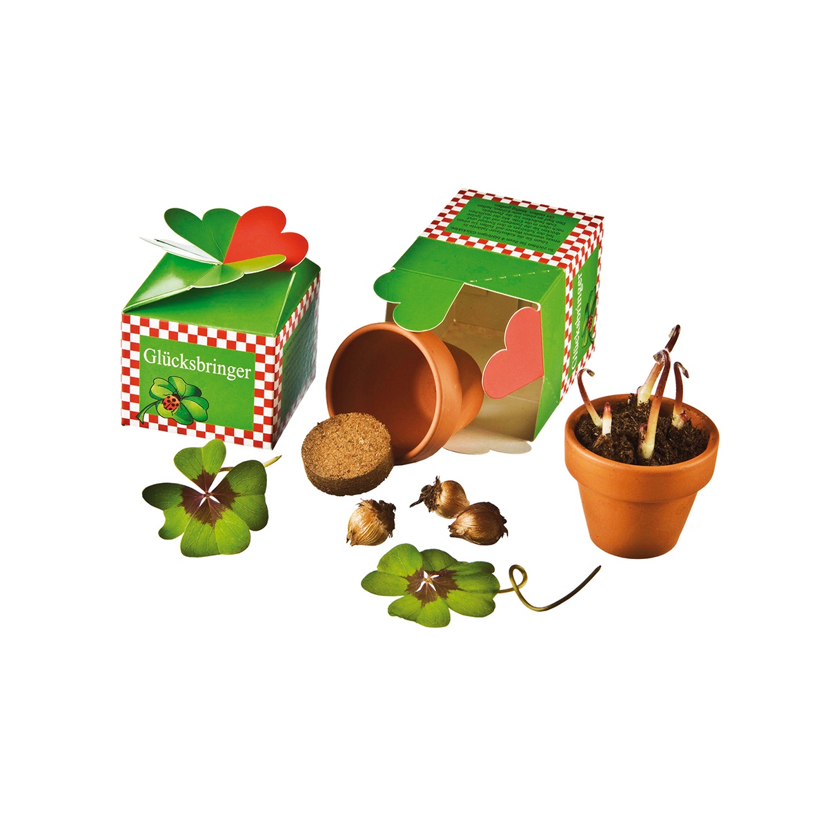 Verpackung (22,2 x 13,5 cm)