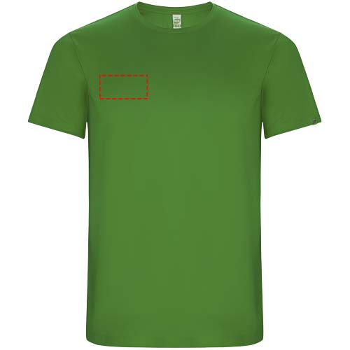 rechter Bizeps (8 x 4 cm)